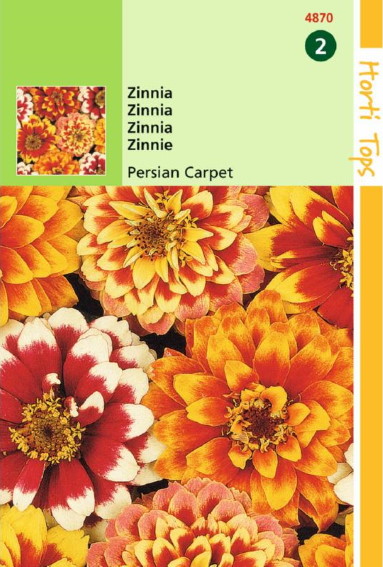 Zinnia elegans Persian Carpet - 450 seeds HT